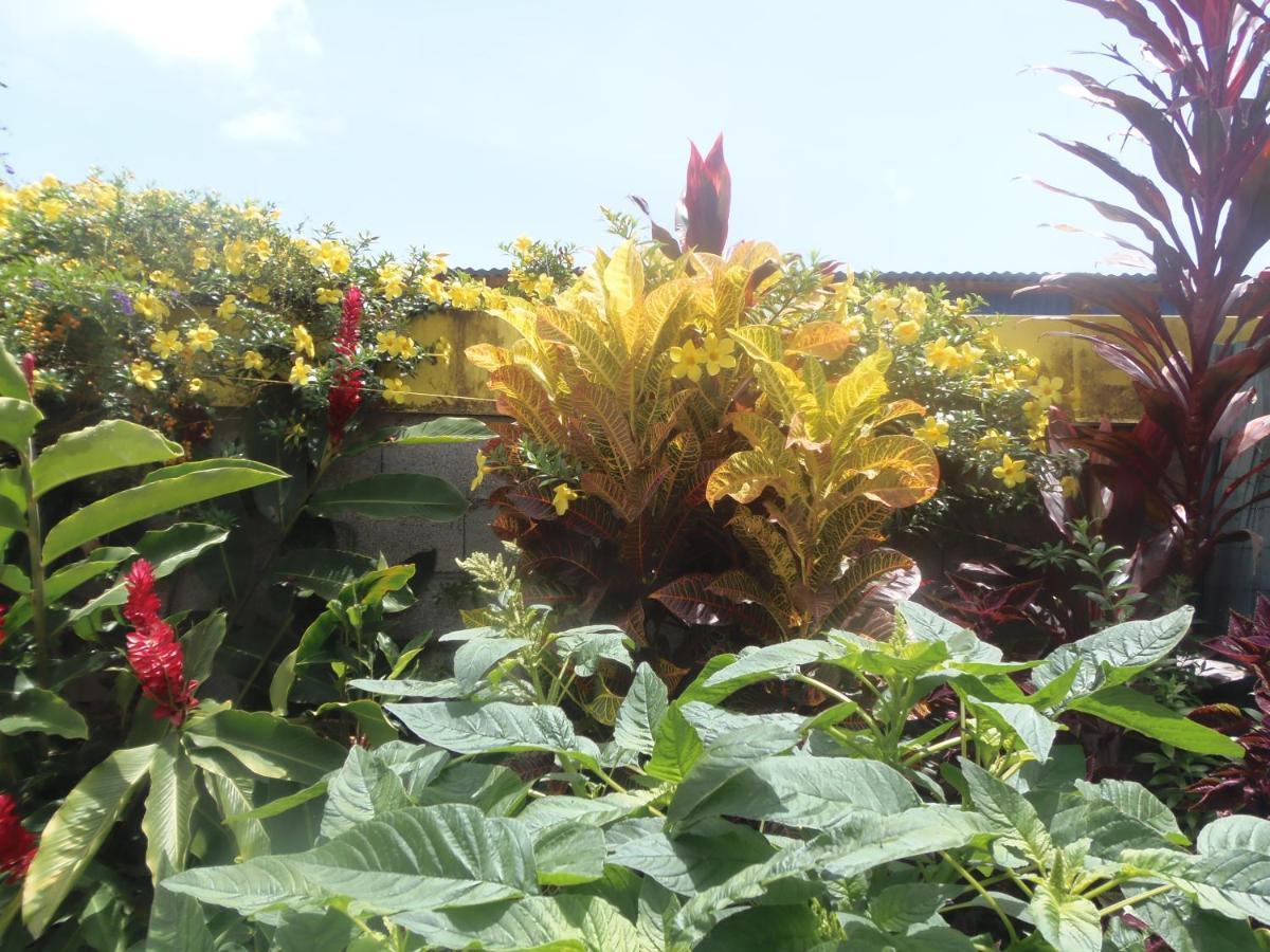 Villa Mancina กาเปสแตร์-แบล-โล ภายนอก รูปภาพ